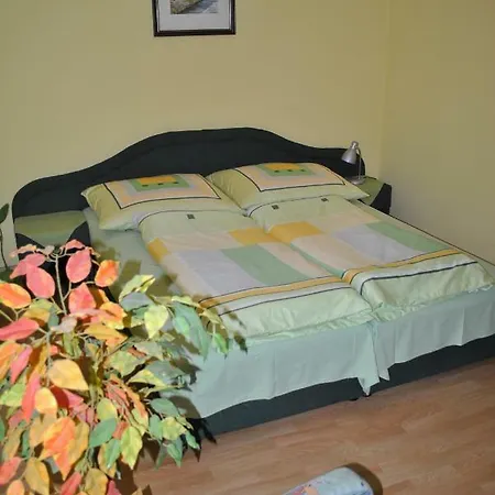 Diana Guest house *