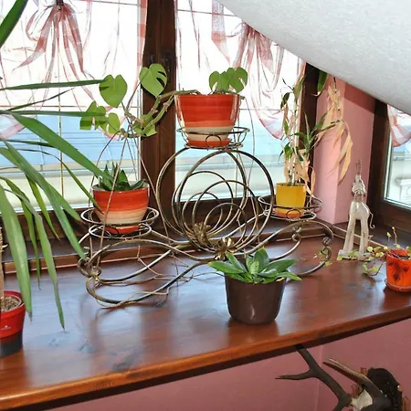 Penzion Diana Spisska Stara Ves